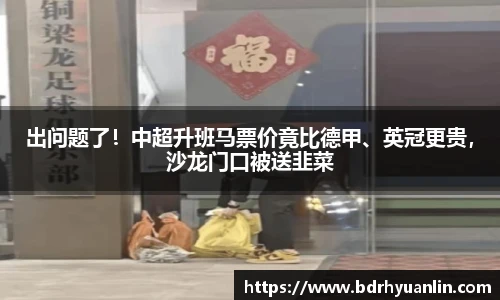 出问题了！中超升班马票价竟比德甲、英冠更贵，沙龙门口被送韭菜